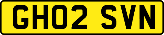 GH02SVN