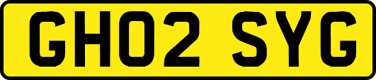GH02SYG