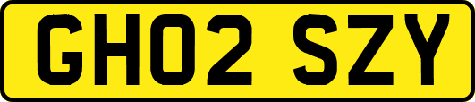GH02SZY