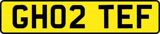 GH02TEF