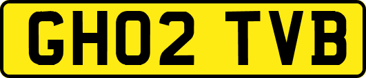 GH02TVB