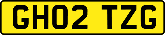 GH02TZG