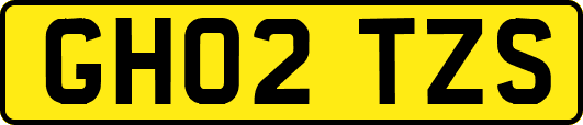 GH02TZS