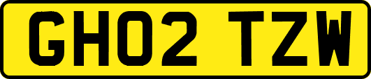 GH02TZW