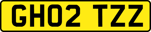 GH02TZZ