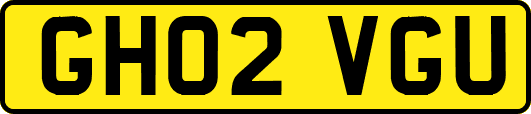 GH02VGU