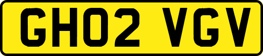 GH02VGV