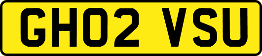 GH02VSU