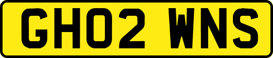GH02WNS