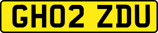 GH02ZDU