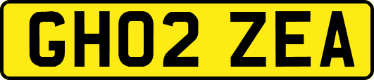 GH02ZEA