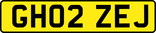 GH02ZEJ