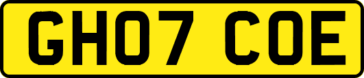 GH07COE