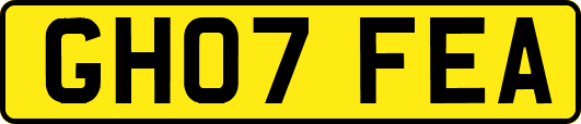GH07FEA