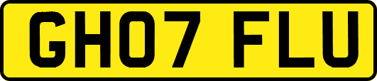 GH07FLU