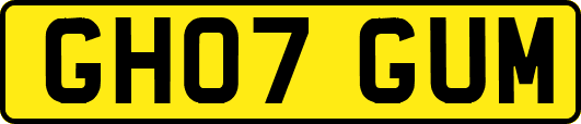 GH07GUM