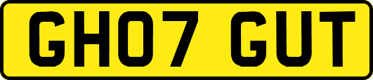 GH07GUT