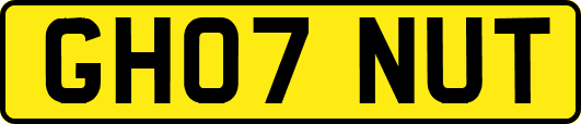 GH07NUT
