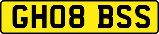 GH08BSS