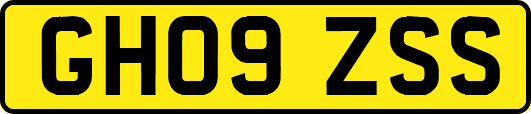 GH09ZSS