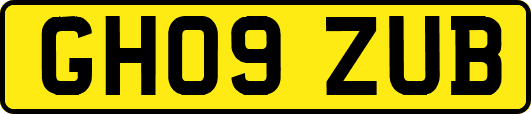 GH09ZUB
