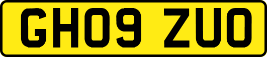 GH09ZUO