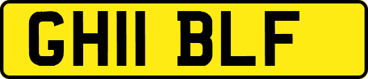 GH11BLF