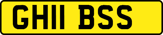 GH11BSS