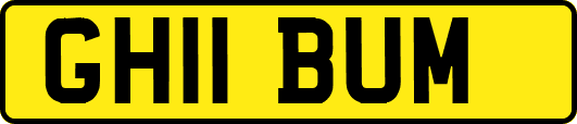 GH11BUM