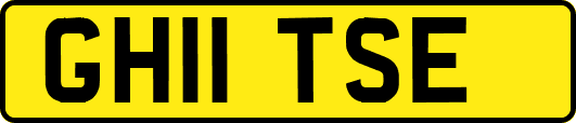 GH11TSE