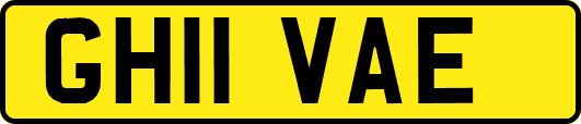 GH11VAE