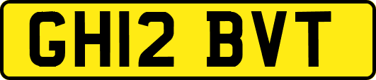 GH12BVT