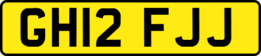 GH12FJJ