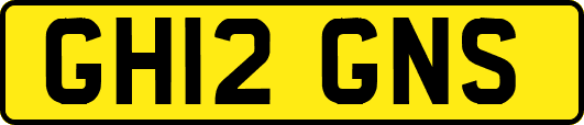 GH12GNS