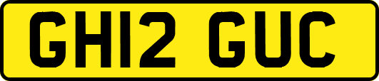 GH12GUC