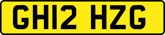 GH12HZG