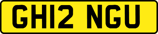 GH12NGU
