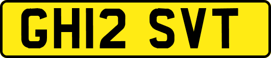 GH12SVT