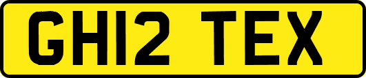 GH12TEX