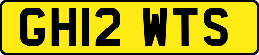 GH12WTS