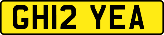 GH12YEA