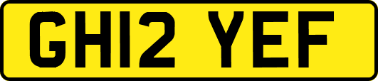 GH12YEF