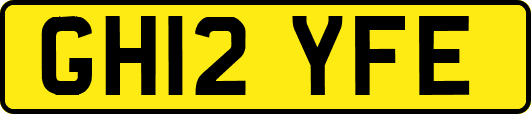 GH12YFE