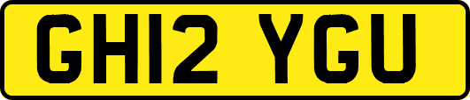 GH12YGU