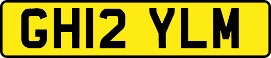 GH12YLM