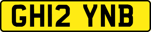 GH12YNB