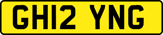 GH12YNG