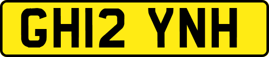 GH12YNH