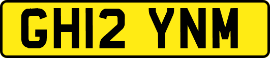 GH12YNM