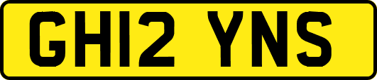 GH12YNS